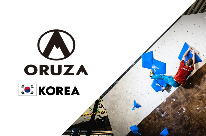 Oruza Korean company