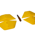 Tectonic Plates - M - GR003