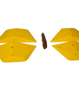 Tectonic Plates - M - GR003