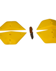Tectonic Plates - M - GR003