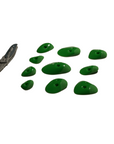 Microbes Set 2 - Screw Ons - GR045