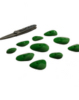 Microbes Set 2 - Screw Ons - GR045