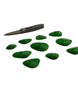 Microbes Set 2 - Screw Ons - GR045