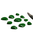 Microbes Set 2 - Screw Ons - GR045